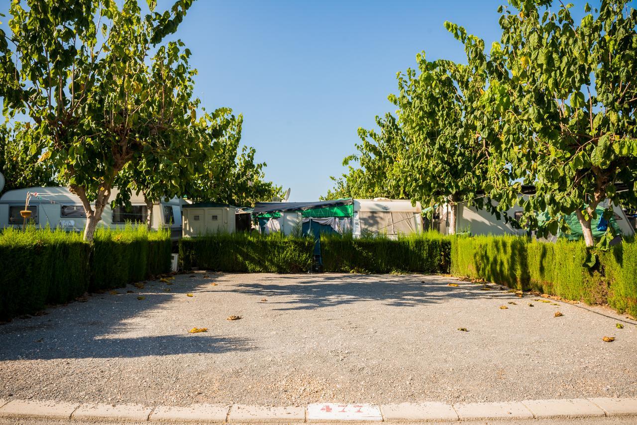 Camping Raco Benidorm Quarto foto